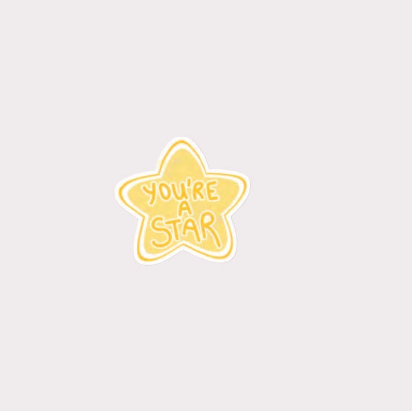 You’re A Star Metal Sticker