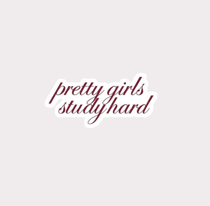 Pretty Girls Study Hard Metal Sticker