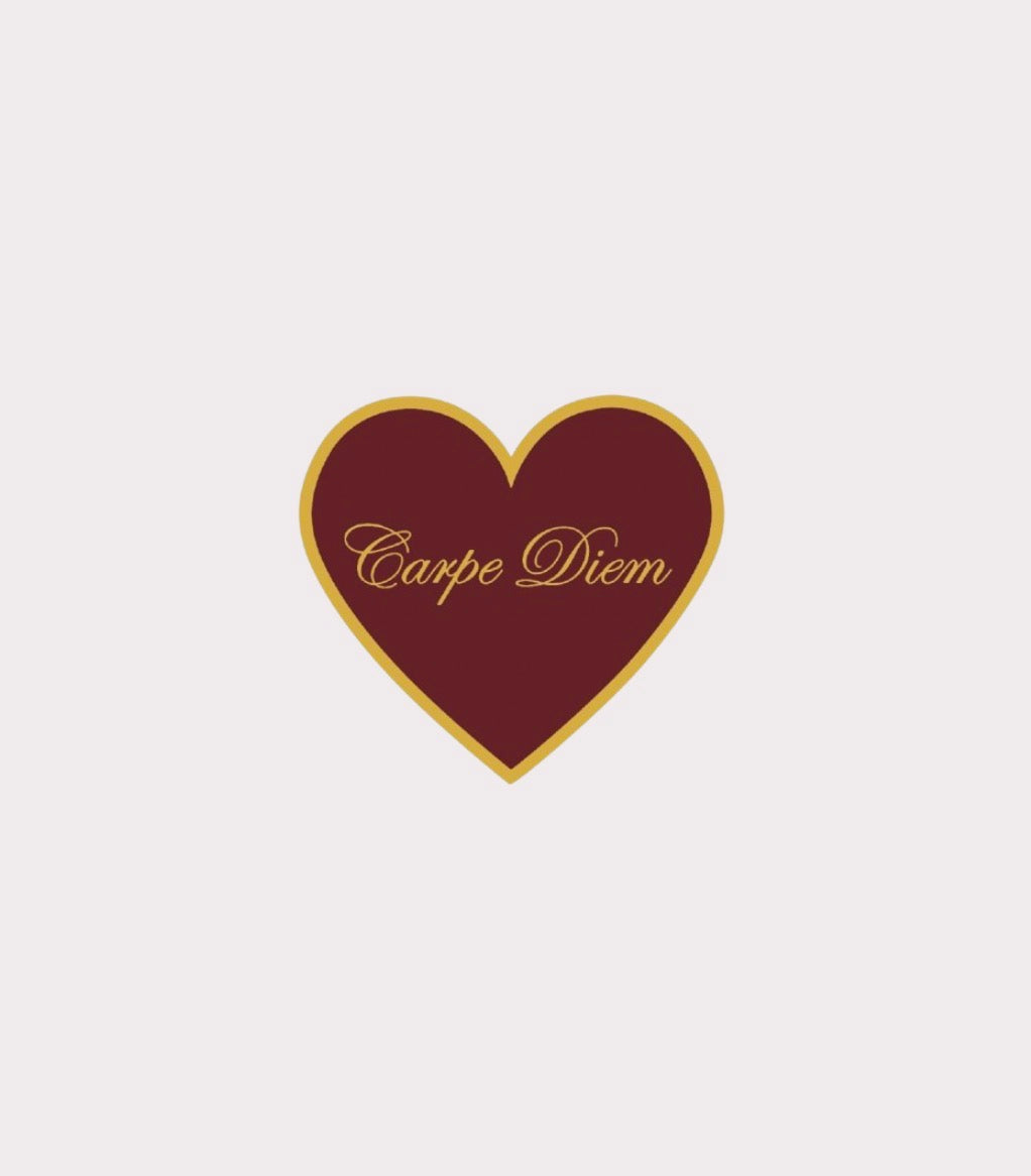 Carpe Diem Metal Sticker