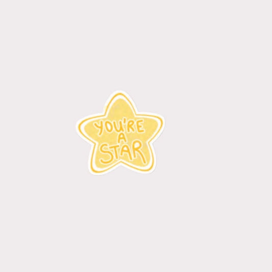 You’re A Star Metal Sticker