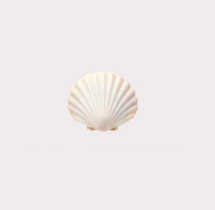 Seashell Metal Sticker