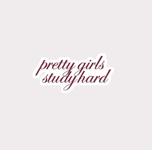 Pretty Girls Study Hard Metal Sticker