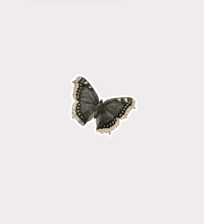 Aesthetic Butterfly Metal Sticker